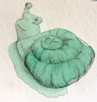 Snail splash